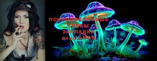 прущая мука Абаза