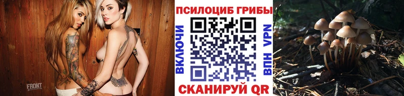 закладки  Чекалин  Галлюциногенные грибы мухоморы 